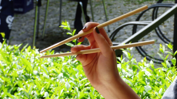 Bruce Lee Jr. is verdomd goed met stokjes