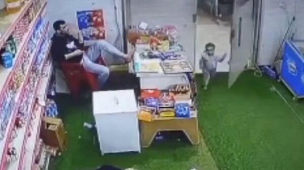 De meest schattige winkeldief die je deze maand zult zien