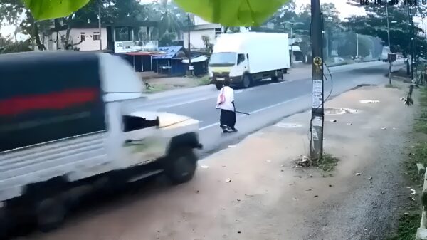 Snelcursus wandelen in India: hoe overleef je als voetganger?