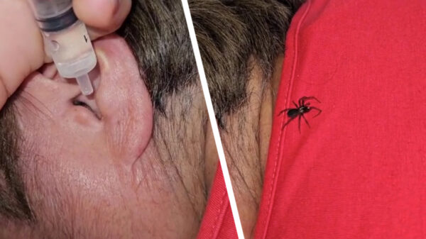 Na het zien van deze video krijg je gegarandeerd nachtmerries