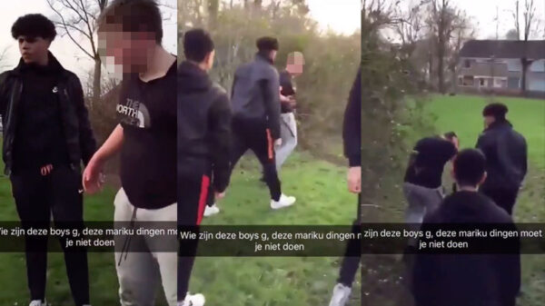 Stelletje laffe honden beuken met z'n allen één weerloze jongen in elkaar