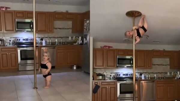 Paaldanseres(je) moet een flink eind omhoog klimmen om te imponeren