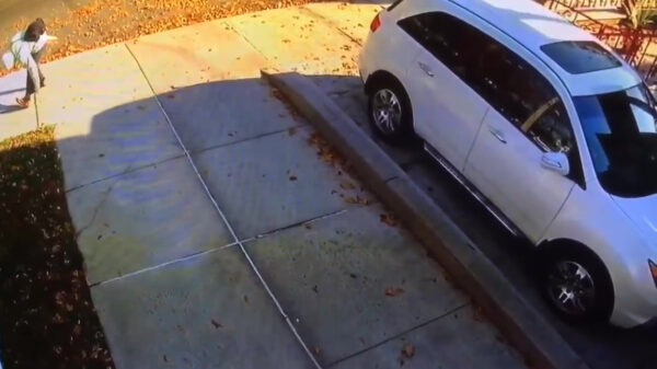 Amerikaans gezin ontdekt welke hond er nou elke keer op hun oprit zit te kakken