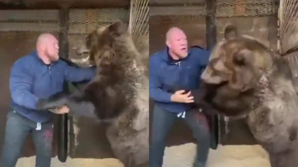 Russische vechtersbaas heeft nieuwe sparringpartner gevonden