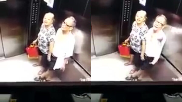 Oud stelletje betrapt in de lift