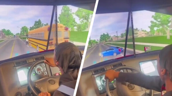 We vermoeden dat deze knakker zijn chauffeursbewijs niet heeft gehaald