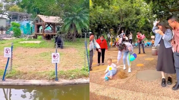 Wel eens een aap gezien die een gruwelijke hekel aan kinderen heeft?