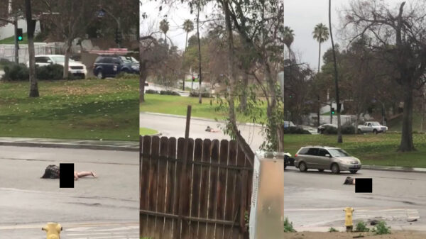 Naakte gek neemt "f*ck the world" iets te serieus