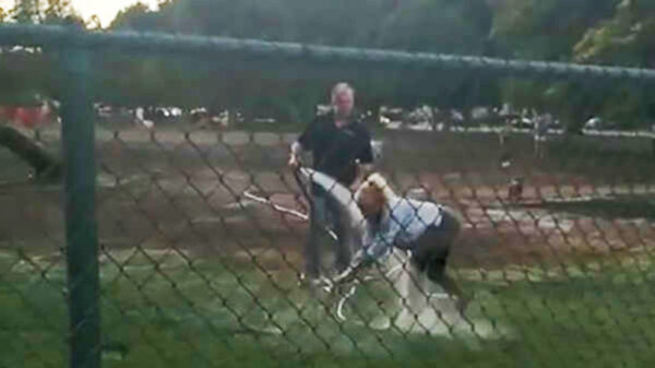 Meningsverschilletje in hondenpark wordt opgelost met behulp van een tuinslang