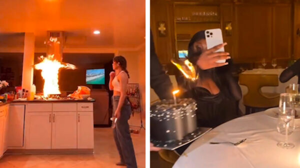 Compilatie: 24 video's die je op deze regenachtige maandag toch nog doen lachen