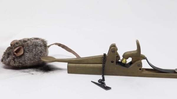 Een muizenval uit 1862 bevat nog aardig wat power