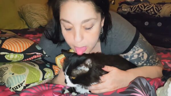 Gekke kattendame verzorgt haar katten door ze af te lebberen