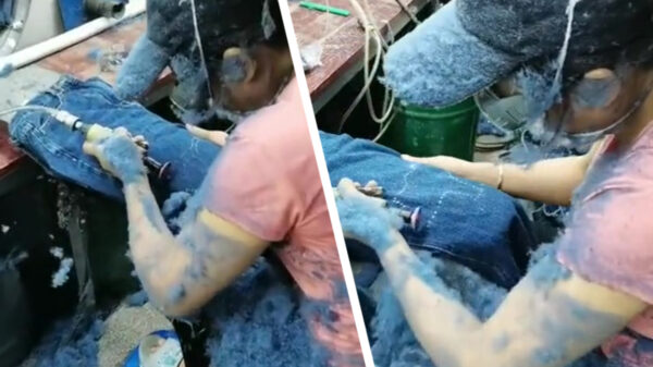 Ondertussen, in de spijkerbroekenfabriek