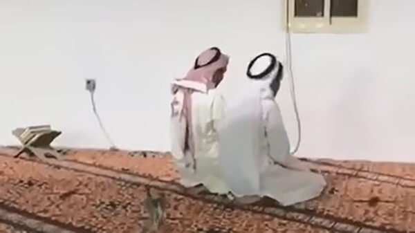 Levensgevaarlijk prooidier verstoort bruut het ochtendgebed