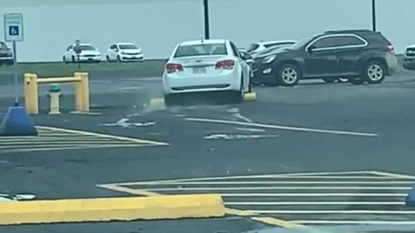 Benzineverbruik van vrouwelijke automobilist loopt fors op dankzij kromme actie