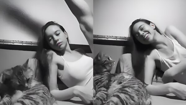 Kattenvrouwtje neemt steeds vaker het gedrag van haar huisdier over