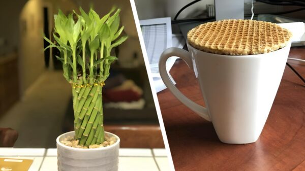 Het is tijd voor 17 keer puur OCD-plezier op deze fijne zondagmiddag