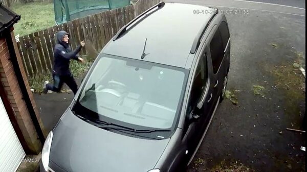 Bezopen autodief krijgt een portie karma tegen zijn blije bakkes