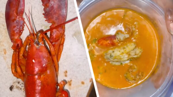 Wie zegt dat ze in 'da hood' geen culinaire hoogstandjes maken?