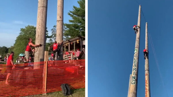 Het WK boompjeklimmen was weer ouderwets spannend