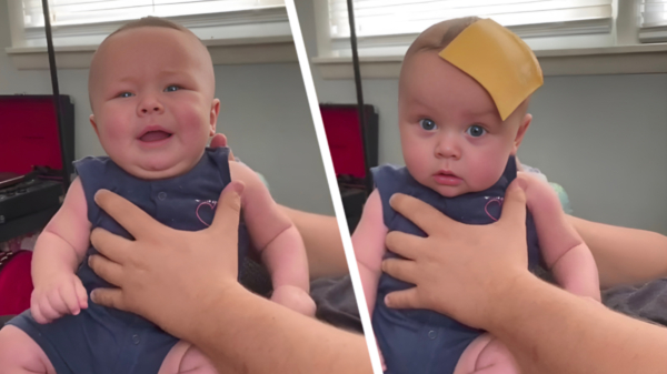 Lifehack voor ouders met huilende baby's: een plakje kaas