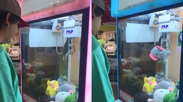 Kat in 't bakkie: eindelijk iets gewonnen bij de grijpautomaat