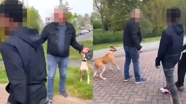 Oudere man met hond in Pijnacker door enkele jongeren op straat mishandeld