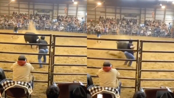 Geïrriteerde stier heeft geen zin in spelletjes en bonjourt Rosa de arena uit