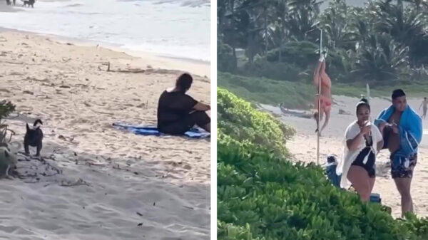 Als je echt werkelijk overal bruin wil worden