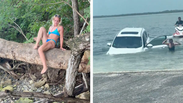 Tijd om 4 minuten te genieten van andermans stupide acties in deze heerlijke failcompilatie