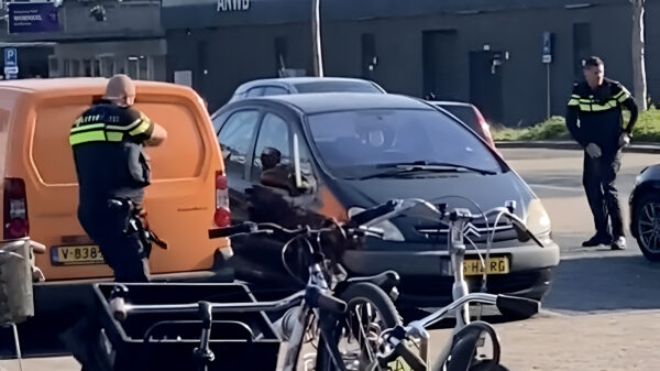 Nieuwe beelden van arrestatie van verwarde man in Woensel opgedoken