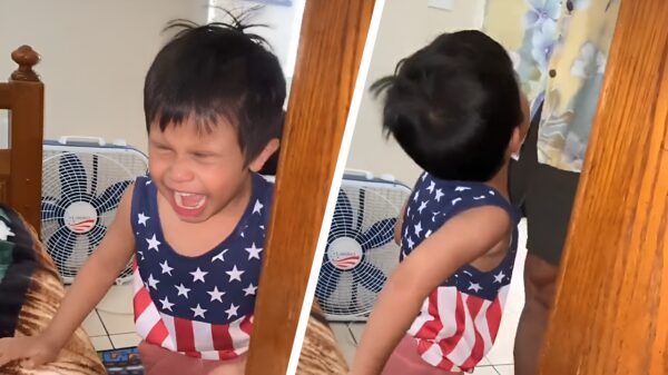 Je koter opvoeden: het verschil tussen deze vader en moeder