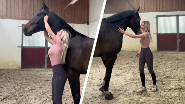 Paardenmeisje Annchen Augustine kan een trucje met zonder touw