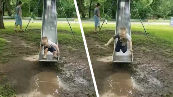 Nee hoor mama, ik kan makkelijk over die plas springen!