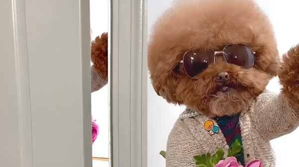 Goedemorgen dames: tijd om de bloemetjes buiten te zetten