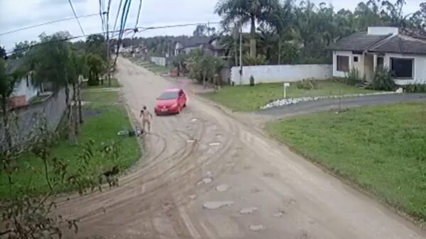 Braziliaanse ninja op fiets neemt het op tegen een full retard automobilist