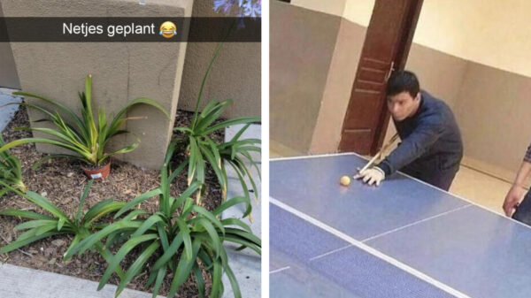 Het IQ van deze 20 internetgebruikers is zo laag als een limbodanser op sneakers