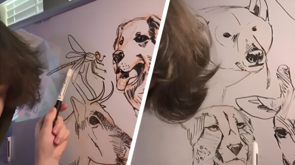 Wacht even: sommige van deze feiten over dieren en insecten zijn best bizar