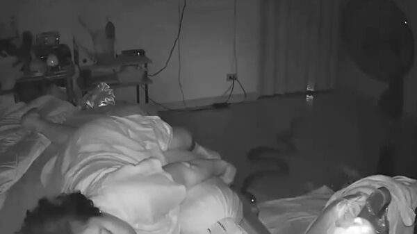 Thaise dame blijft aardig rustig als ze door een slang in haar voet wordt gebeten