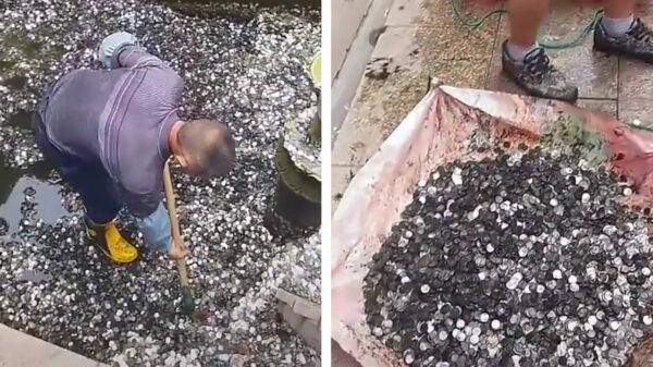 Het bewijs dat een wensput best lucratieve handel kan zijn