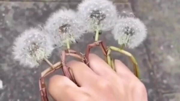 Nu verkrijgbaar: de boksbeugel voor klimaatactivisten