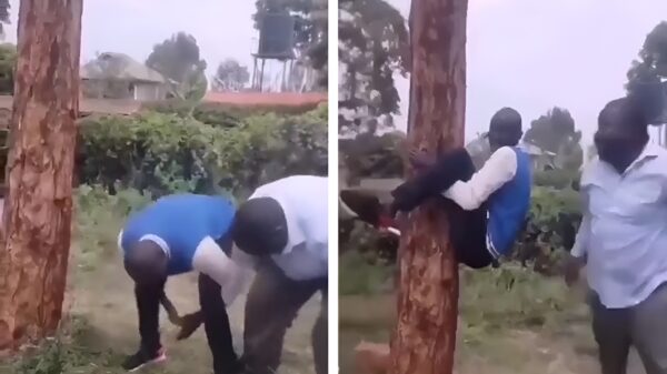 Doe eens gek, hang je collega eens in de boom