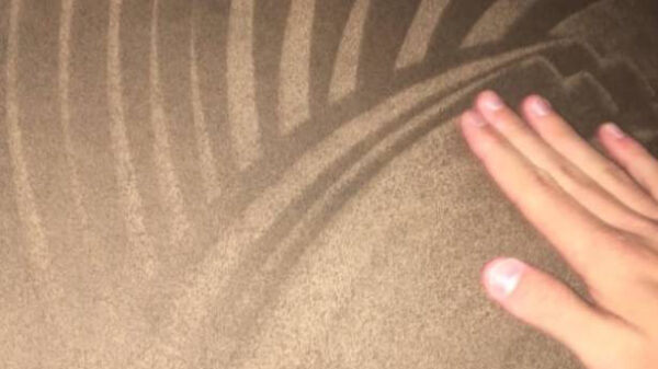 18 dingen die werkelijk iedereen al eens gedaan heeft