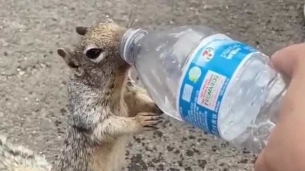 Hey bro, mag ik alsjeblieft een slokje van je water?