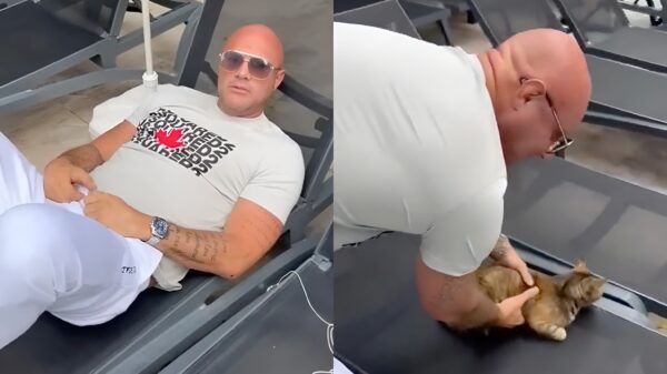 Iedereen woest op Alex Soze die op vakantie een kat in het zwembad gooit