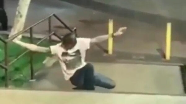 Vluchten voor de politie is nog helemaal niet zo gemakkelijk als je kacheltjelam bent