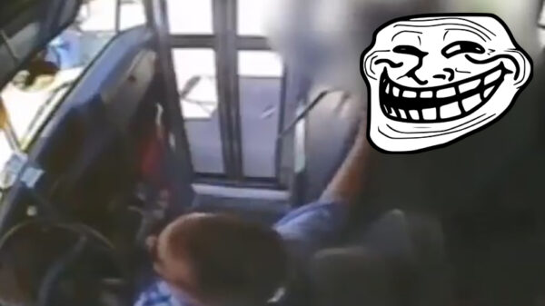 Overspannen buschauffeur trapt expres op de rem zodat koter tegen voorruit vliegt