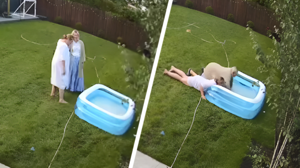Ajeto: Buurvrouw en Buurvrouw proberen een zwembad te legen
