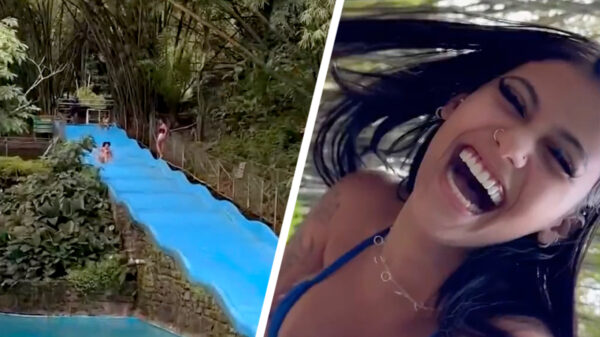 Ga lekker van de glijbaan they said, it'll be fun they said