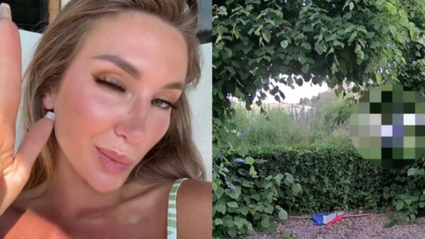 Luie DHL-bezorger knikkert pakketje via het raam op de 1e verdieping naar binnen